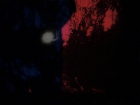 ZUR instantane angers -96655